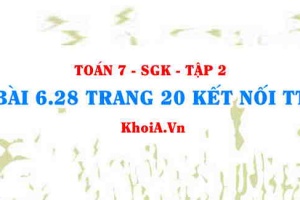 Bài 6.28 trang 20 Toán 7 Kết nối tri thức Tập 2